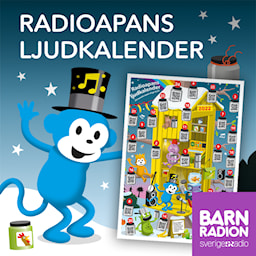 Julkalender Radioapan 